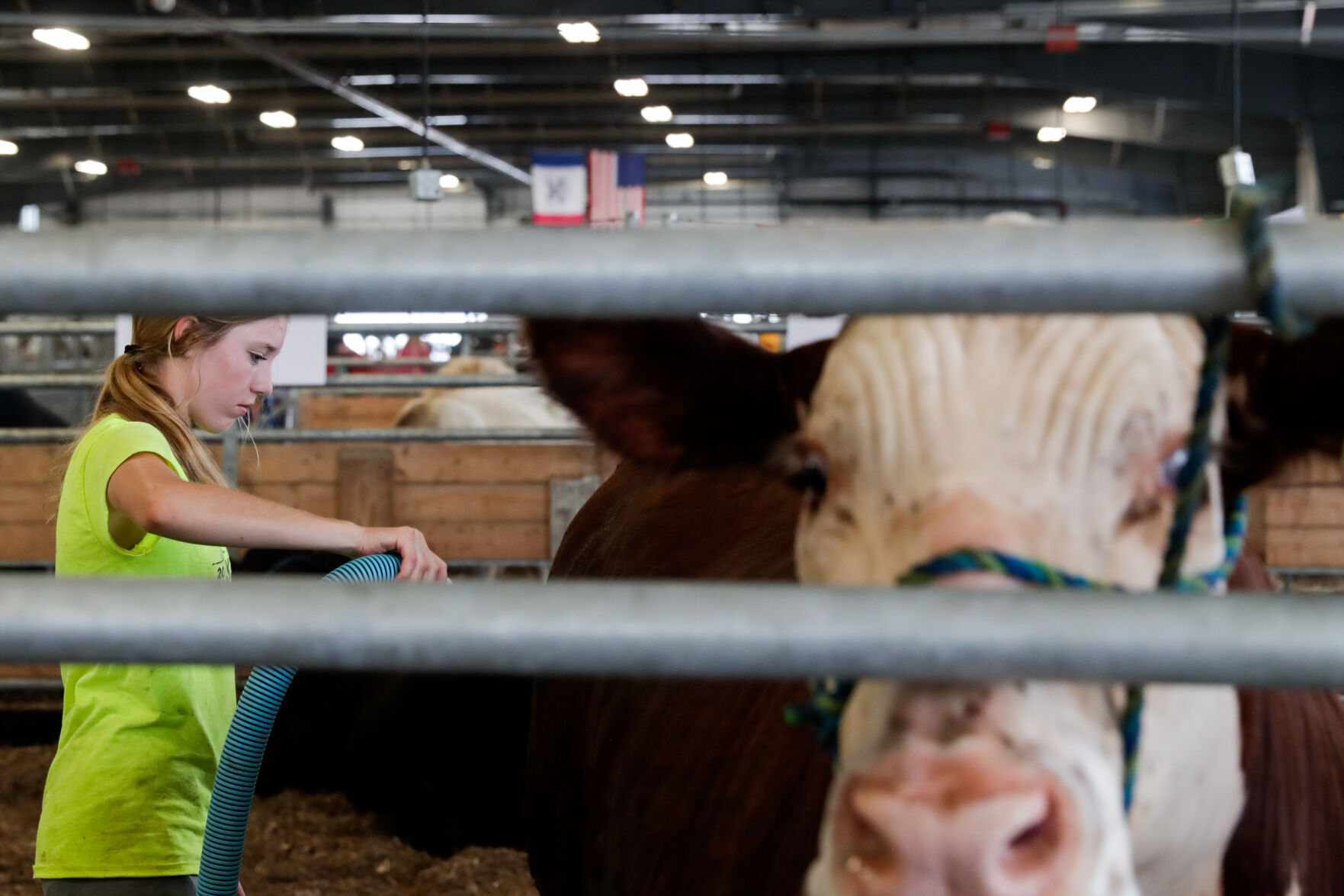 080522-qc-nws-fair-02.jpg
